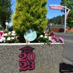 Matthew N. Wells / The Daily World
A closeup view of the flower box in front of Raintree Veterinary Center, which is located across from the Hoquiam: The Friendliest City sign that welcomes passersby into the city on Sumner Avenue. The boxes have been vandalized in the past and its frustrating to Betsy Seidel, a member of Hoquiam Crime Watch and Hoquiam Beautification Team.