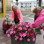 Matthew N. Wells / The Daily World
Bette Worth, left, works alongside Jane Madtson, as part of Aberdeens Bloom Team. While Bloom Team isnt related to Hoquiam Beautification Team, it seems to have the same goal: to beautify Grays Harbor. Worth and Madtson also picked up garbage through several downtown blocks of Aberdeen.