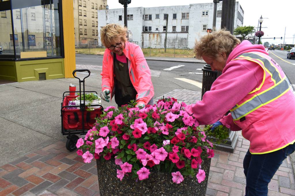 Matthew N. Wells / The Daily World
Bette Worth, left, works alongside Jane Madtson, as part of Aberdeens Bloom Team. While Bloom Team isnt related to Hoquiam Beautification Team, it seems to have the same goal: to beautify Grays Harbor. Worth and Madtson also picked up garbage through several downtown blocks of Aberdeen.