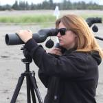 Michael S. Lockett / The Daily World
Larissa Pfleeger-Ritzman, head of the Shoalwater Bay Indian Tribes Department of Natural Resources, regards a snowy plover through a scope on June 27.