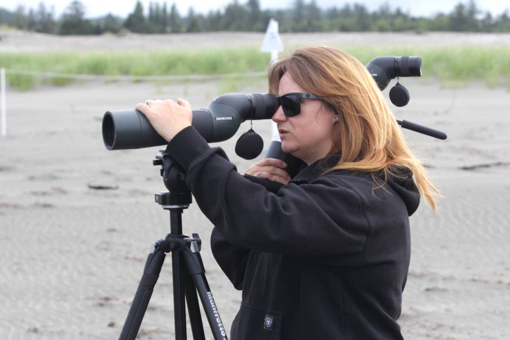 Michael S. Lockett / The Daily World
Larissa Pfleeger-Ritzman, head of the Shoalwater Bay Indian Tribes Department of Natural Resources, regards a snowy plover through a scope on June 27.