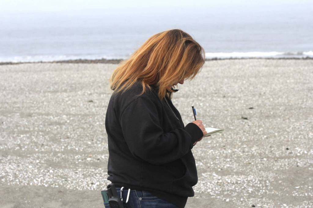 Michael S. Lockett / The Daily World
Larissa Pfleeger-Ritzman, head of the Shoalwater Bay Indian Tribes Department of Natural Resources, notes the location and number of eggs in a snowy plover nest on June 27.
