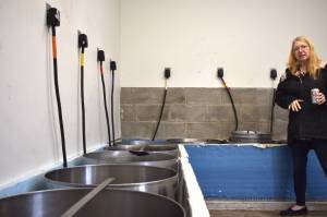 Sue Michalak-Budsberg, right, has led the McCleary Bear Festival stew preparations for 25 years. As part of this years stew, hundreds of pounds of vegetables chopped by volunteers Friday morning  along with ground beef and spices  will enter these large cooking pots in the Beerbower Park kitchen. The stew will be served 1 p.m. Saturday. (Clayton Franke / The Daily World)