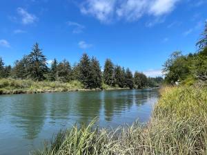 A woman escaped her vehicle after driving into the Wishkah River near Fern Hill Cemetery on Friday, July 28. (Michael S. Lockett / The Daily World)