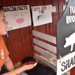 Clayton Franke / The Daily World
Tucker Browning sits near his pure Burkshire pig on the first day of the Grays Harbor County Fair on Aug. 2.