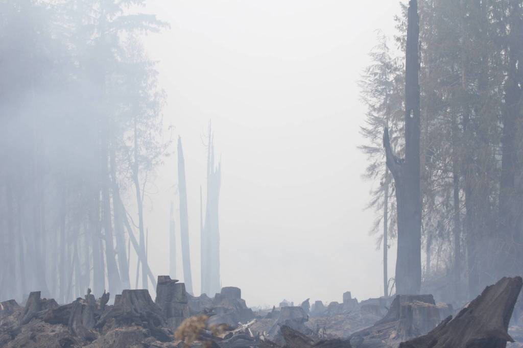 A fire in a timber area near Moclips spread rapidly before being brought mostly under control on Thursday. (Michael S. Lockett / The Daily World)