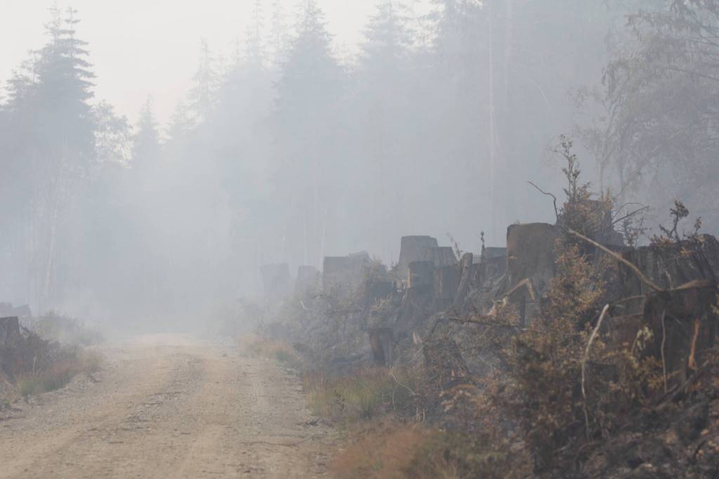 Firefighters fought a wildfire in a logging area near Moclips beginning Wednesday. (Michael S. Lockett / The Daily World)