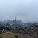 About 50 acres were torched in a wildfire near Moclips beginning Wednesday. (Michael S. Lockett / The Daily World)