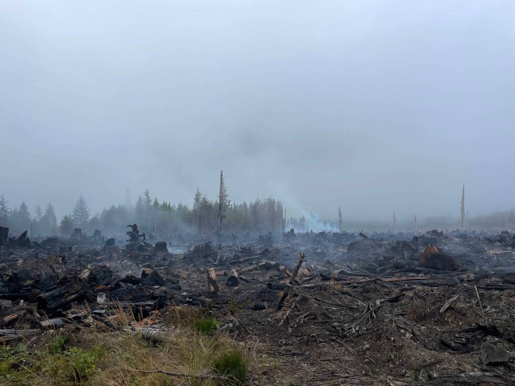 About 50 acres were torched in a wildfire near Moclips beginning Wednesday. (Michael S. Lockett / The Daily World)