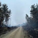 Quinault Nation Fire Management and Department of Natural Resources firefighters worked beginning on Wednesday to control a wildfire near Moclips. (Michael S. Lockett / The Daily World)