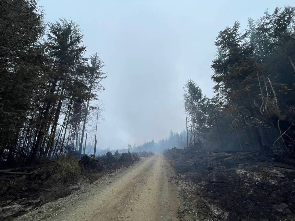 Quinault Nation Fire Management and Department of Natural Resources firefighters worked beginning on Wednesday to control a wildfire near Moclips. (Michael S. Lockett / The Daily World)