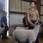 Mckenna Rainey, right, of the Best of Times 4-H club, prepares to present her Blue Ribbon lamb at the Grays Harbor Youth Livestock Auction on Saturday, Aug. 5. (Clayton Franke/ The Daily World)