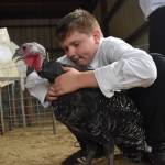 Eero Lenss prepares his market turkey a few minutes before showing at the Grays Harbor Youth Livestock Auction on Saturday, Aug. 5. (Clayton Franke / The Daily World)