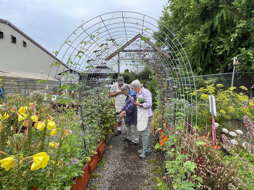 Michael S. Lockett / The Daily World
Gardeners examine a plant at the County Fair on Aug. 5.