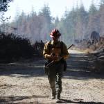 Michael S. Lockett / The Daily World
Dale Heidal, equipment group supervisor, walks down a logging road as he manages the heavy equipment for the Margarita wildfire.