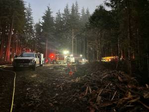 Multiple departments responded to a burgeoning wildfire on Monday night near the intersection of 101 and Ocean Beach Road. (Courtesy photo / Hoquiam Fire Department)