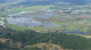 Washington Department of Fish and Wildlife
The Chehalis Wildlife Area comprises about 1,200 total acres in East Grays Harbor County.