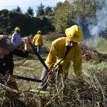 Clayton Franke / The Daily World
Jill Silver, executive director of the environmental nonprofit 10,000 Years Institute, cuts Scotch broom for burning on Wednesday, Oct. 18.