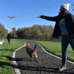 Clayton Franke / The Daily World
Avery Harland launches a Frisbee for her lab, Utka, at the Vance Creek Dog Park on Oct. 27.