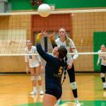 JOSH KIRSEHNBAUM | THE CHRONICLE Aberdeens Cameryn Micheau sets the ball during the Bobcats matchup with Ridgefield in the first round of the 2A District 4 Tournament on Thursday in Tumwater.
