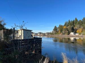 Matthew N. Wells / The Daily World
The current pump stations spot, behind the east end of Swansons and the west end of the Hoquiam Police Department building, which a new pump station will replace starting in the spring, was a horrible choice, 50 years ago or 70 years ago, according to Hoquiam City Administrator Brian Shay. The new pump station will be more inland. It wont hang over the Hoquiam River embankment. It will help the city with flooding on Levee Street in downtown Hoquiam.