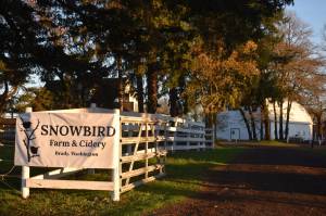 Matthew N. Wells / The Daily World
Snowbird Farm & Cidery  484 Old Monte Brady Road  is on the east side of Montesano. The cidery, which Raeann and Duncan Edwards own and operate  has been in business since January.
