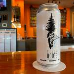 Michael S. Lockett / The Daily World
The Grays Harbor Conservation District and Mount Olympus Brewery partnered to producce River Roots, a new beer with a riverbank focus.