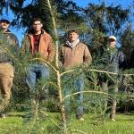 Grays Harbor Conservation Districts work crew poses behind a tree they recently planted, one of thousands, as part of a riverbank repair effort. (Michael S. Lockett / The Daily World)