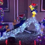 Matthew N. Wells / The Daily World
Bryson Walkers illuminated penguins enjoy a cold winters night in Hoquiam.