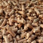 Industrial wood pellets can be created by condensing and drying sawdust or logging slash. (U.S. Industrial Pellet Association)