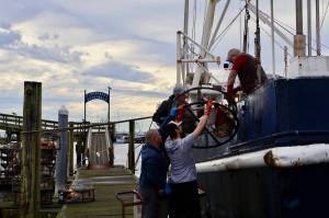 Michael S. Lockett / The Daily World
A fishing crew loads pots aboard their fishing boat on dump day in Westport Harbor.