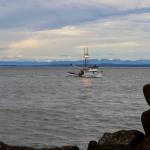 A fishing boat returns to the harbor in Westport on dump day. (Michael S. Lockett / The Daily World)
A fishing boat returns to the harbor in Westport on dump day. (Michael S. Lockett / The Daily World)
