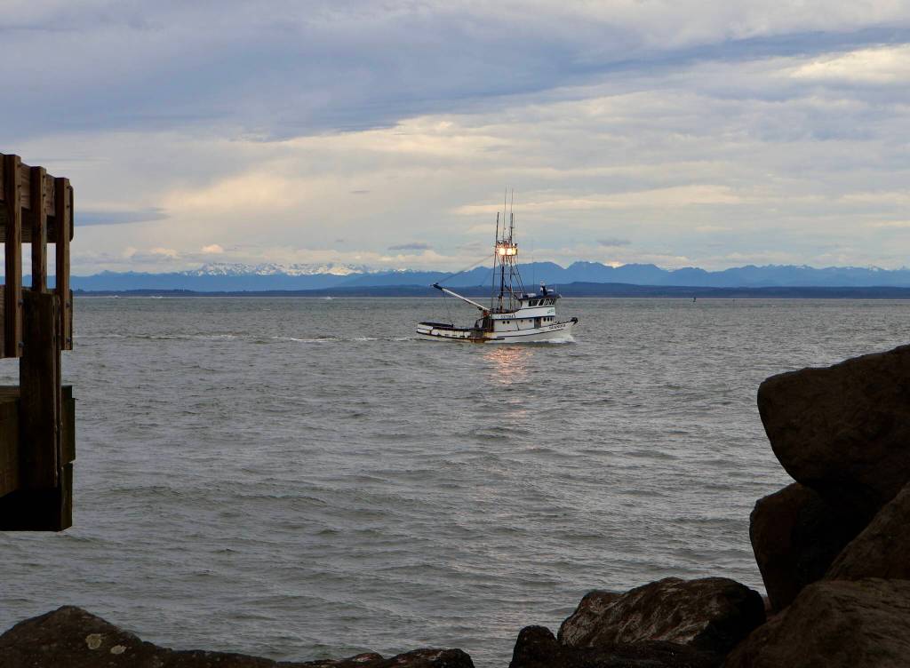 A fishing boat returns to the harbor in Westport on dump day. (Michael S. Lockett / The Daily World)
A fishing boat returns to the harbor in Westport on dump day. (Michael S. Lockett / The Daily World)