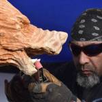 Anthony Robinson files the tooth of a wooden wolf on Feb. 16. (Clayton Franke / The Daily World)