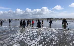 Mark Yuasa / WDFW
People dig for razor clams on a beach near Ocean Shores. Digs are scheduled during the day on March 15 and 16 at Copalis to coincide with the Ocean Shores Razor Clam Festival and Seafood Extravaganza.
(Mark Yuasa / WDFW) People dig for razor clams on a beach near Ocean Shores. Digs are scheduled during the day on March 15 and 16 at Copalis to coincide with the Ocean Shores Razor Clam Festival and Seafood Extravaganza.