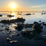 (Clayton Franke / The Daily World) The sun sets following a razor clam dig at Copalis Beach on Feb. 23.