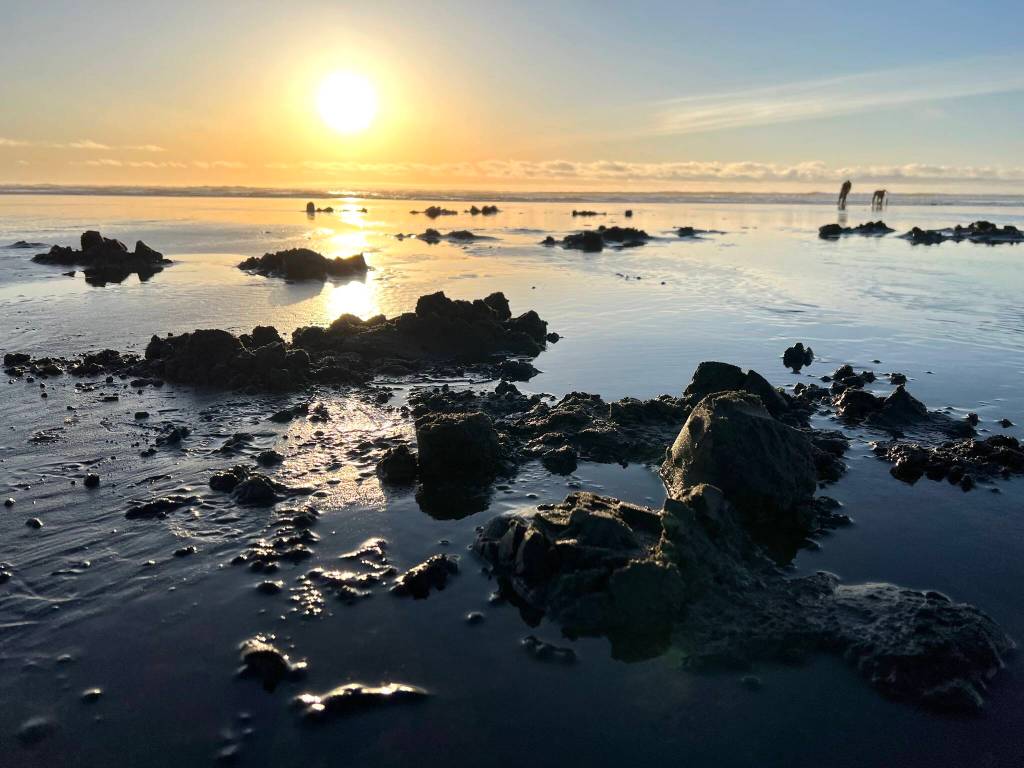 (Clayton Franke / The Daily World) The sun sets following a razor clam dig at Copalis Beach on Feb. 23.