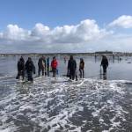 (Mark Yuasa / WDFW) People dig for razor clams on a beach near Ocean Shores. Digs are scheduled during the day on March 15 and 16 at Copalis to coincide with the Ocean Shores Razor Clam Festival and Seafood Extravaganza.