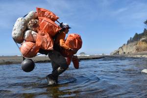 Clayton Franke / The Daily World
Kyle Deerkop, farm operations manager with Pacific Shellfish, crosses a creek hauling pounds of marine debris collected from a beach on the Quinault Indian Reservation.