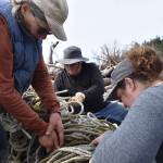 Clayton Franke / The Daily World
From left: Julie Puhich, Bruce Rittenhouse and Nicole Baker use knives to dissect a large tangle of rope. As it was found, the rope was too large and heavy to be hauled away from the beach.