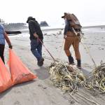 Clayton Franke / The Daily World
From left: Julie Puhich, Bruce Rittenhouse and Nicole Baker haul ropes and other trash across a beach on the Quinault Indian Reservation.