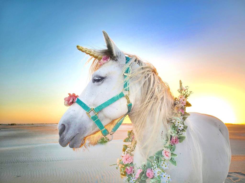 International Mermaid Museum
Meet a unicorn this Saturday at the International Mermaid Museum Festival  1 S. Arbor Rd., in Aberdeen. Unicorns Sky and Blue will be at the festival with their handler Crystal. According to Kim Roberts, who runs the festival, the unicorns cant wait to meet and be photographed with people of all ages.