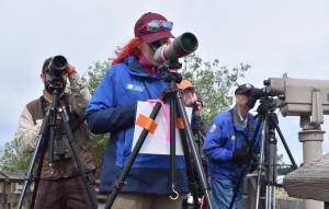 Clayton Franke / The Daily World
Shelby Anderson, center, environmental educator with the Billy Frank Jr. Nisqually National Wildlife Refuge, and Ryan Munes, biologist with the Grays Harbor National Wildlife Refuge, use spotting scopes to watch shorebirds feed on the tidal mudflats at the Grays Harbor National Wildlife Refuge in Hoquiam on May 3.