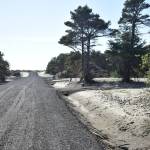 Issues with wetland delineation have arisen at this housing development site in Westport. The city hopes an independent study will provide clarity and consistency for permitting. (Clayton Franke / The Daily World)