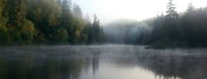 Washington State Parks
Lake Sylvia State Park will be closed June through September for a major construction project that will replace the culvert beneath the entrance road with a bridge and a new road.