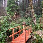Polson Museum
This bridge that can be seen at Camp Klahanee, was built a few months ago by Polson Museums Board President Ron Loomis, according to John Larson.
