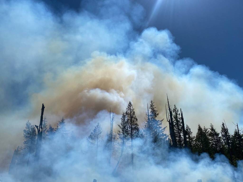 Frank Kowoosh
The Margarita wildfire burned dozens of acres of wildland last year.