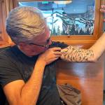 Matthew N. Wells / The Daily World
Wil Russoul, director of Downtown Aberdeen Association, literally has the word MUSIC tattooed on his left arm. Russoul, who seemed anxious and eager at the same time for World Music Day, talked about its unbridled growth, the people who made it happen, and how he sold a cow for magic beans, ahead of World Music Day 2024, which is on Friday. The free, family event welcomes musicians of all skill levels and this year the bill includes Rock and Roll Hall of Fame musicians.