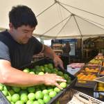 Matthew N. Wells / The Daily World
Kobe Calama, who co-owns PNW Fresh with his wife Jessica Calama, stocks fresh limes for the farm stand. The Cosmopolis couple, with strong roots in Grays Harbor County, held their grand opening on July 11.