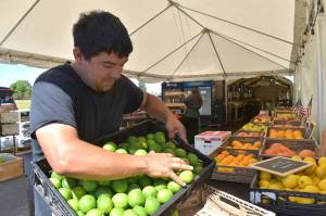 Matthew N. Wells / The Daily World
Kobe Calama, who co-owns PNW Fresh with his wife Jessica Calama, stocks fresh limes for the farm stand. The Cosmopolis couple, with strong roots in Grays Harbor County, held their grand opening on July 11.